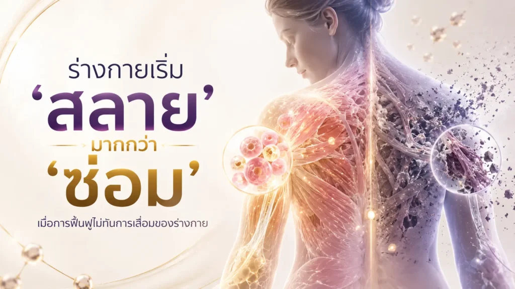 ร่างกายเริ่มสลายมากกว่าซ่อม
