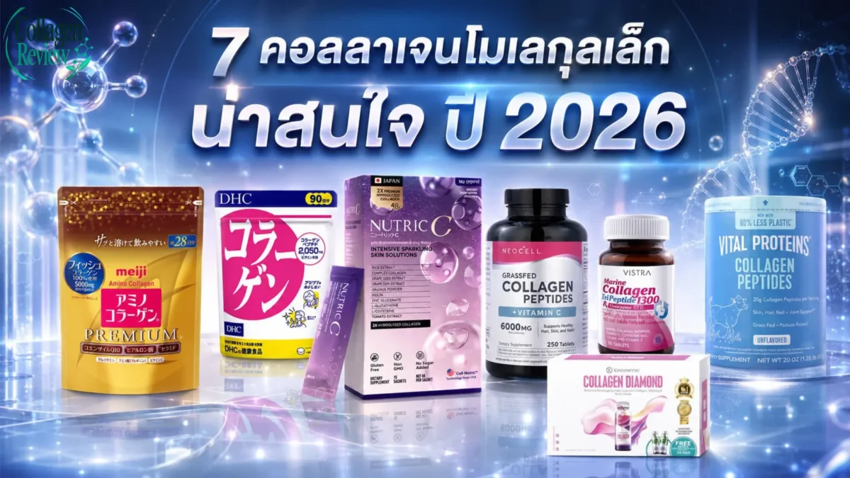 คอลลาเจนโมเลกุลเล็ก