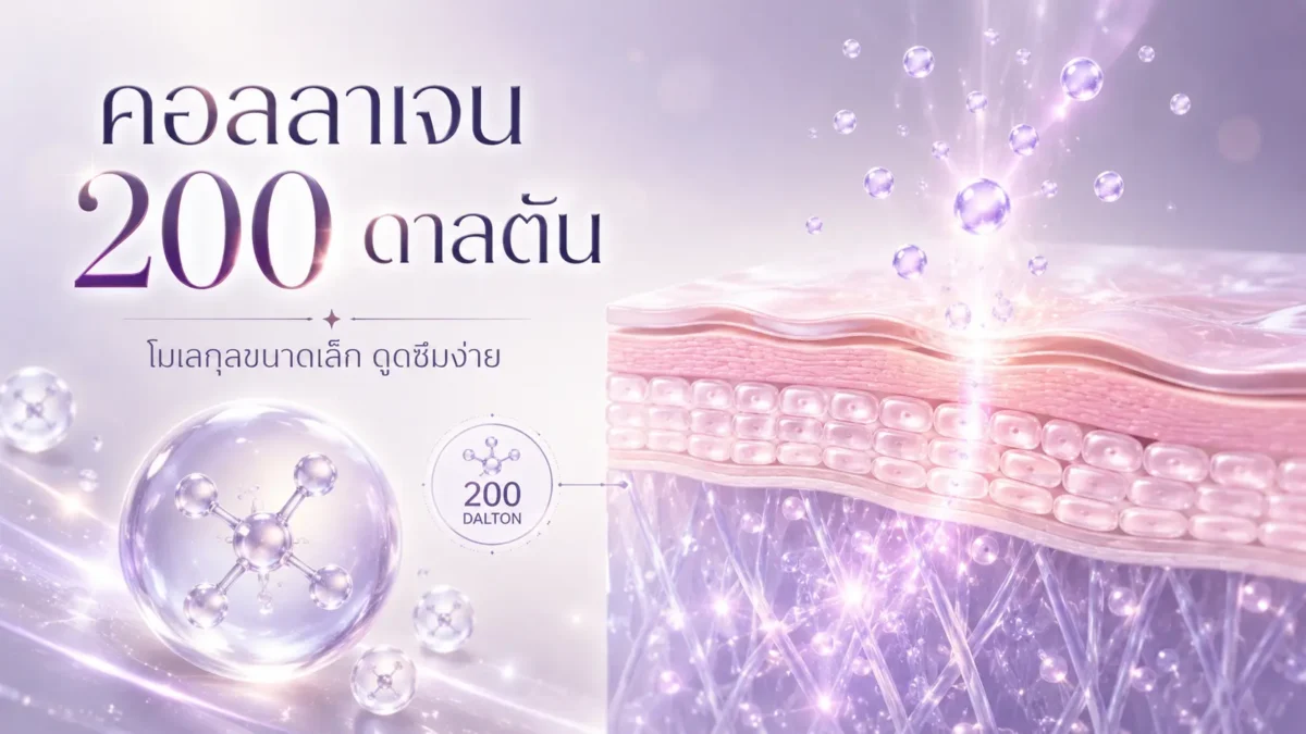 คอลลาเจน200ดาลตัน