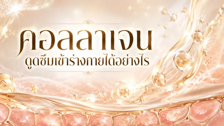 คอลลาเจนดูดซึมเข้าร่างกายได้อย่างไร