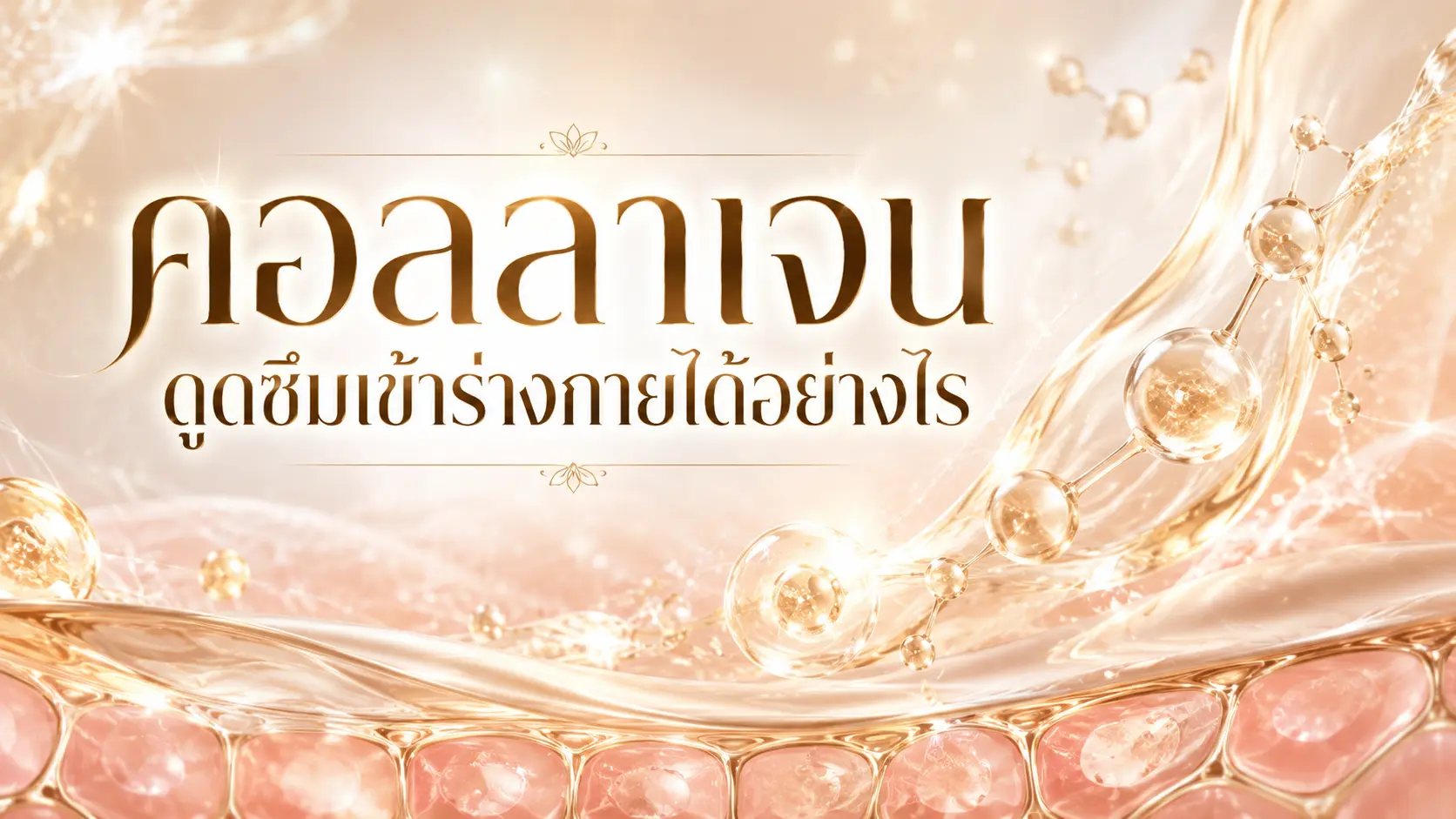 คอลลาเจนดูดซึมเข้าร่างกายได้อย่างไร