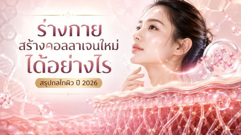 ร่างกายสร้างคอลลาเจนใหม่ได้อย่างไร