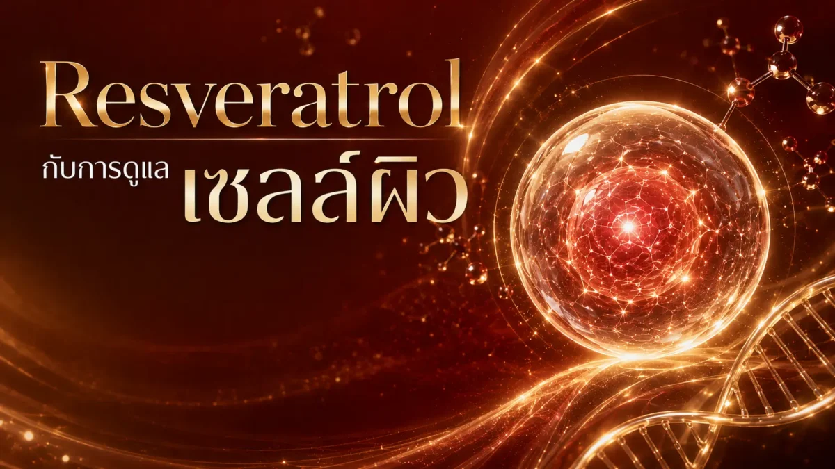 Resveratrol คืออะไร? เรสเวอราทรอลกับผิว ปี 2026
