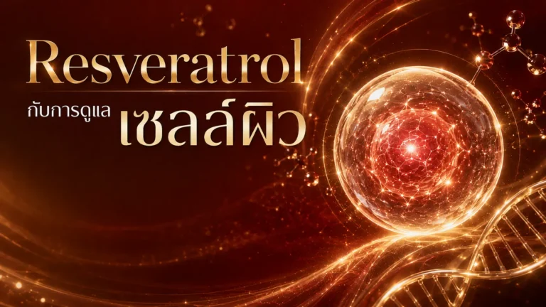 Resveratrol คืออะไร? เรสเวอราทรอลกับผิว ปี 2026