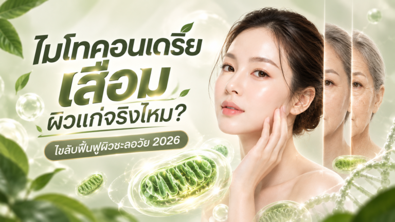 ไมโทคอนเดรีย