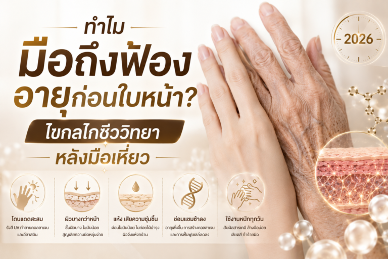 ทำไมมือถึงฟ้องอายุก่อนใบหน้า? ไขกลไกชีววิทยาหลังมือเหี่ยว 2026