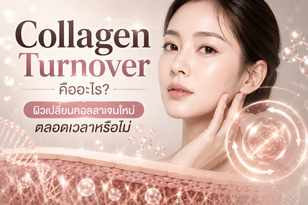 Collagen Turnover คืออะไร? ผิวเปลี่ยนคอลลาเจนใหม่ตลอดเวลาหรือไม่
